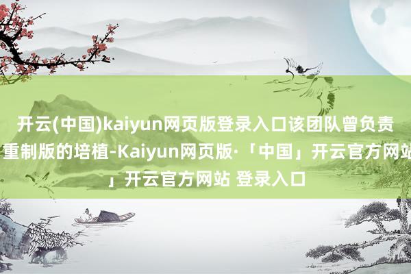 开云(中国)kaiyun网页版登录入口该团队曾负责寂然岭2:重制版的培植-Kaiyun网页版·「中国」开云官方网站 登录入口