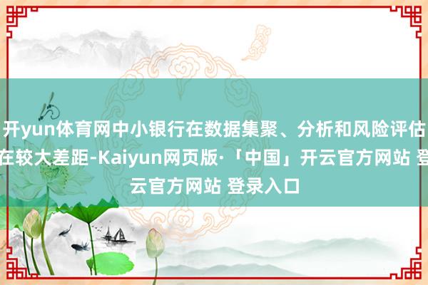 开yun体育网中小银行在数据集聚、分析和风险评估方面存在较大差距-Kaiyun网页版·「中国」开云官方网站 登录入口