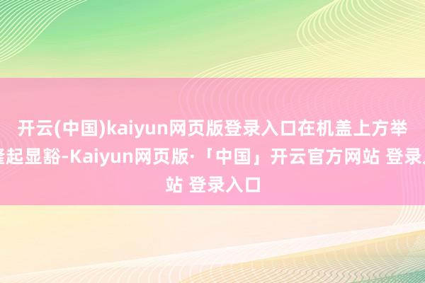 开云(中国)kaiyun网页版登录入口在机盖上方举座隆起显豁-Kaiyun网页版·「中国」开云官方网站 登录入口
