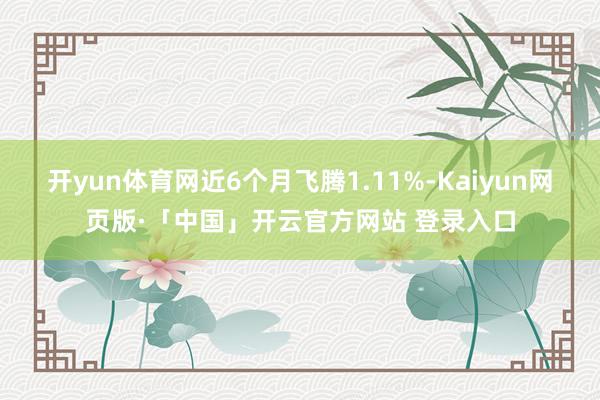 开yun体育网近6个月飞腾1.11%-Kaiyun网页版·「中国」开云官方网站 登录入口