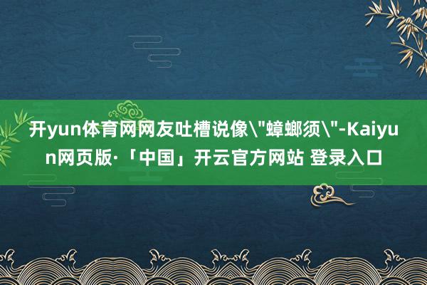 开yun体育网网友吐槽说像